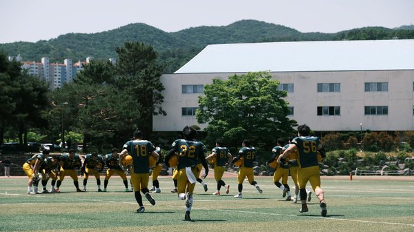 Top Strategies to Help Your Dog Overcome Fear of Fireworks